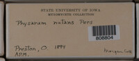 Physarum nutans image
